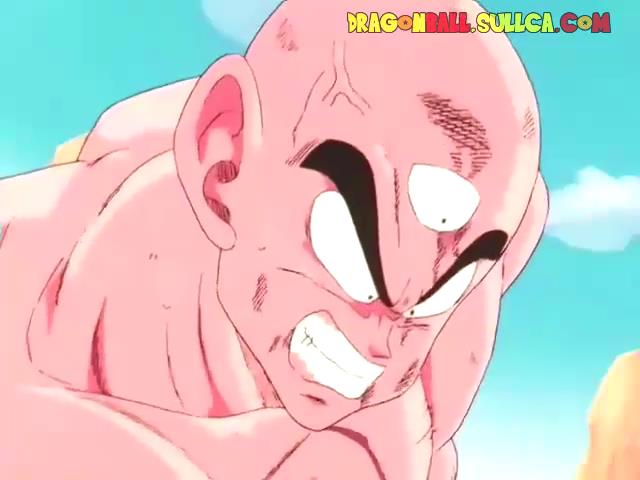 Ver Online Saga Cell - Dragon Ball Sullca