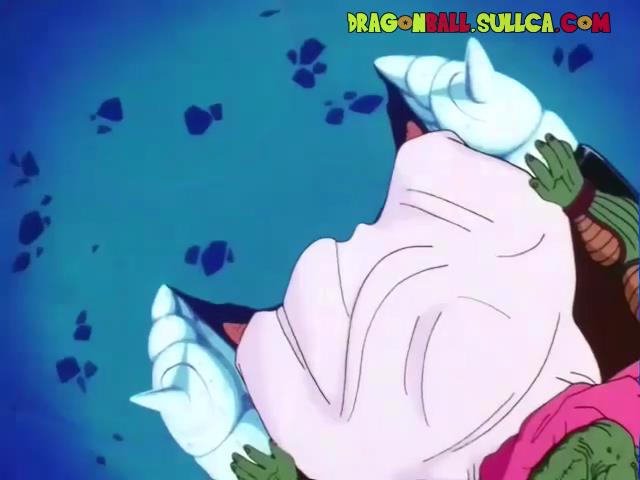 061] La batalla se acerca, han llegado las fuerzas especiales Gi-Nyu -  Dragon Ball Sullca